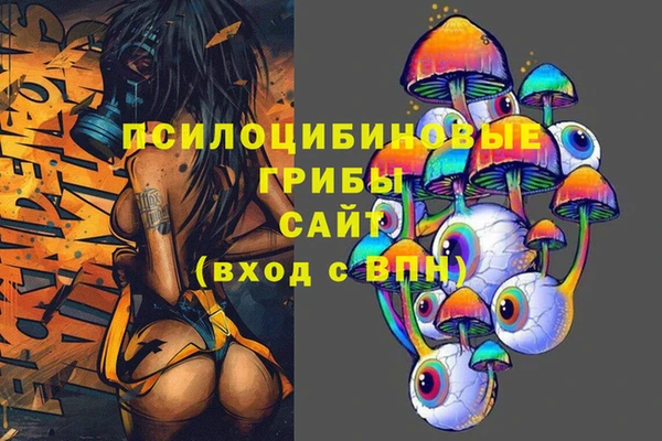 трава Беломорск